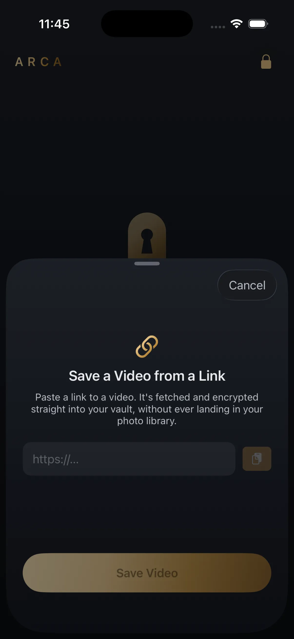 Arca's Save from Link screen on iPhone, where a pasted link is resolved and downloaded into the encrypted vault